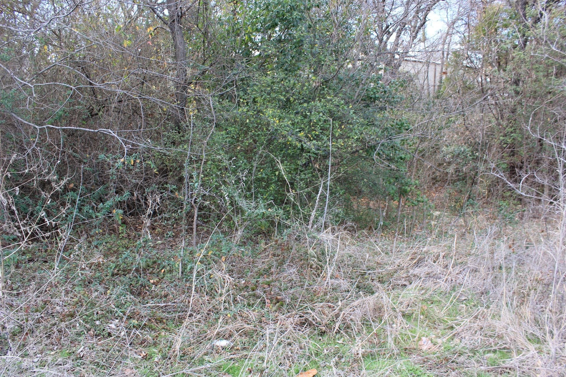 1.62 acres in Collin County featured view