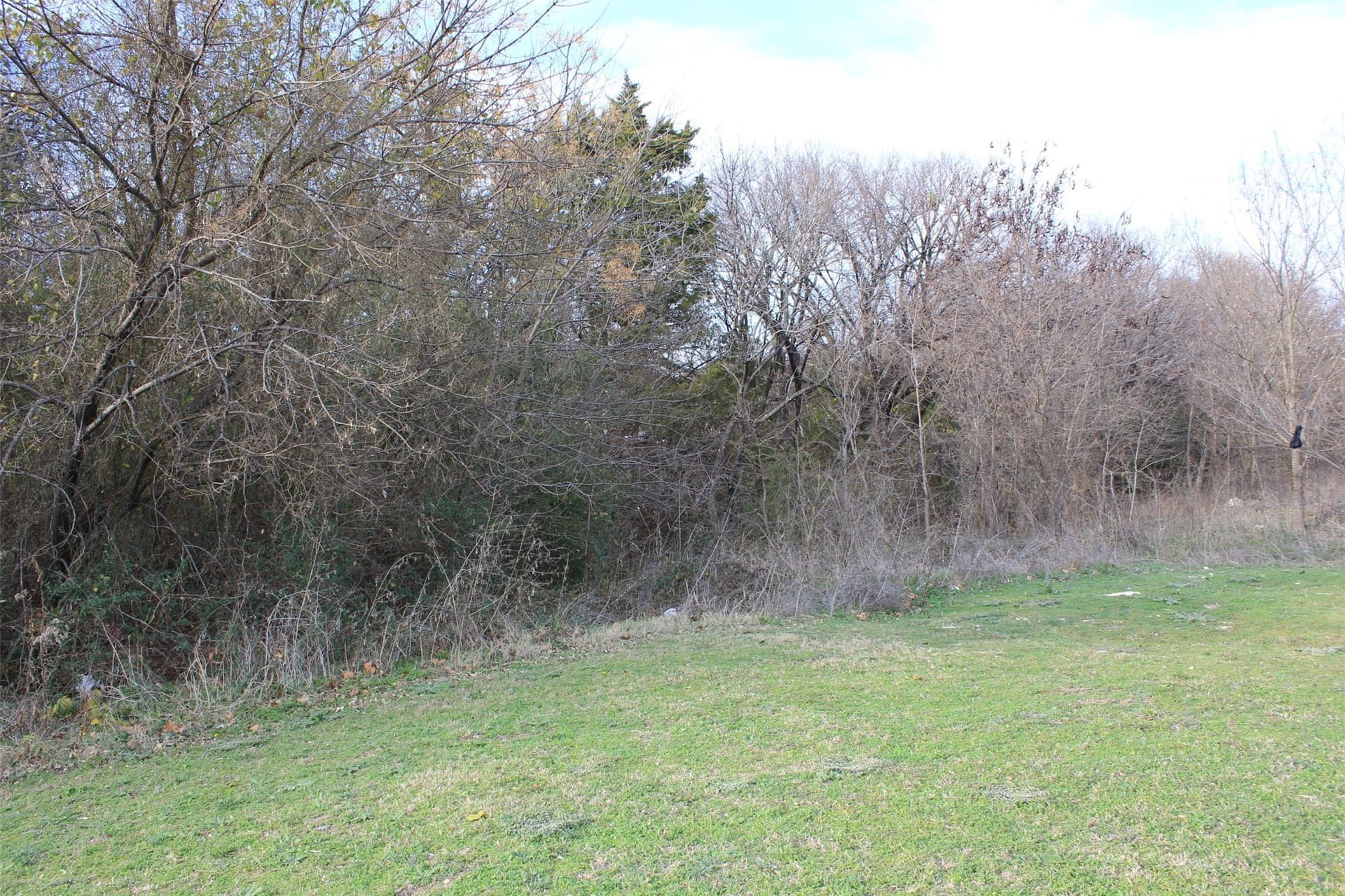 1.62 acres in Collin County gallery image 3