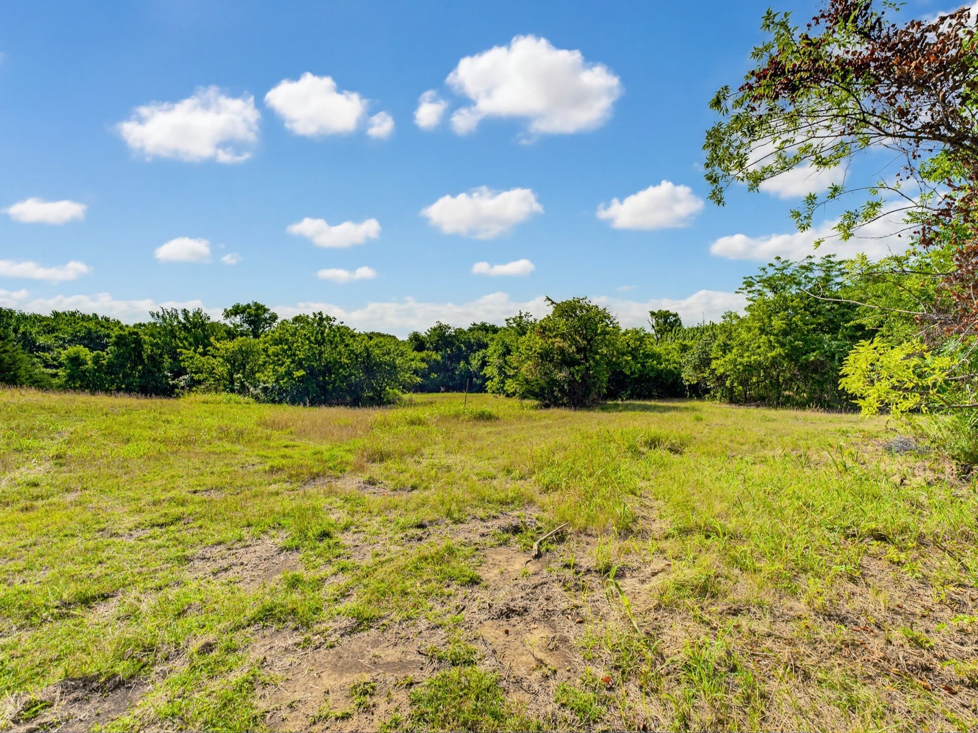 10.2 acres in Wise County - photo 23