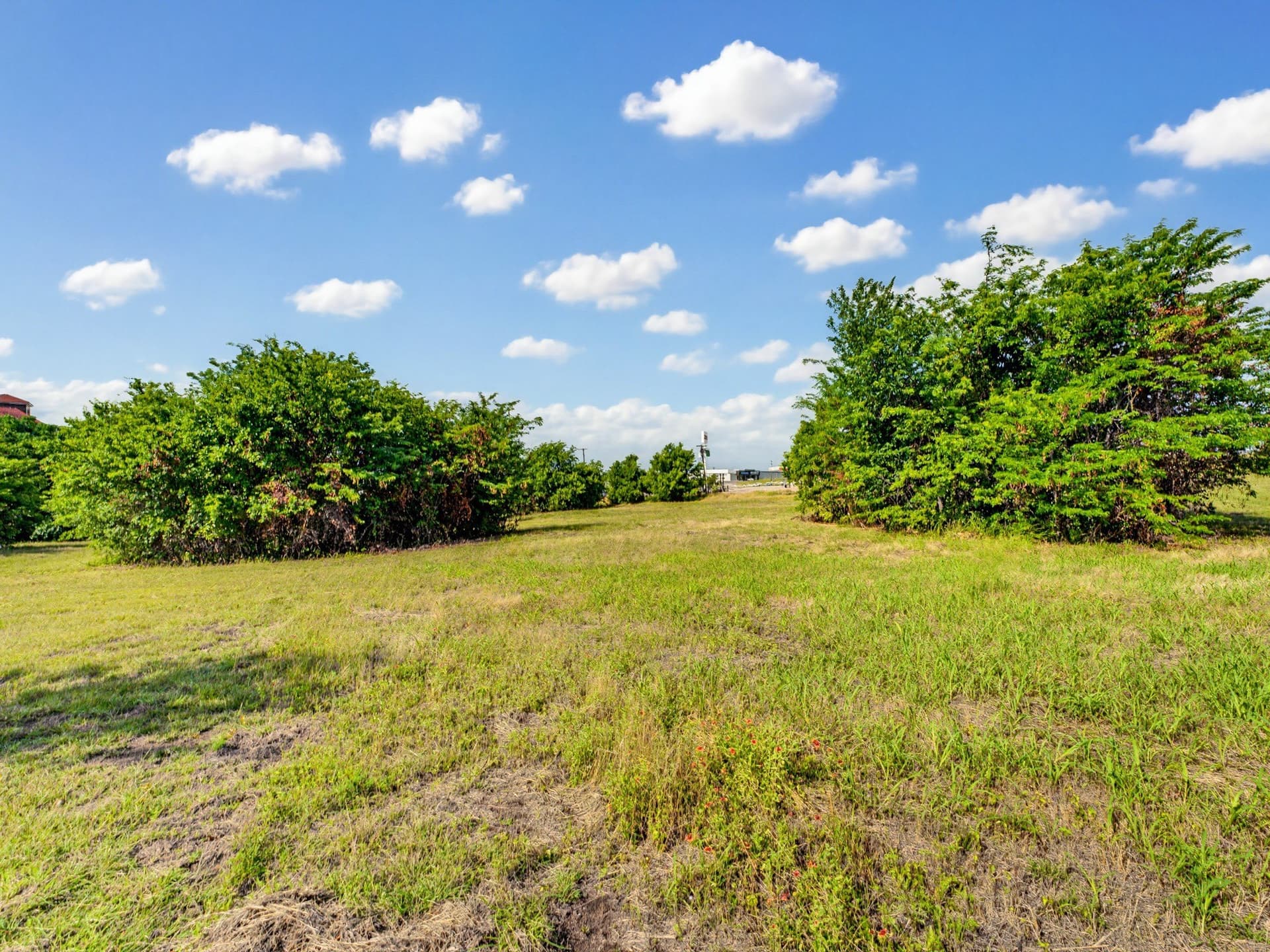 10.2 acres in Wise County - photo 21