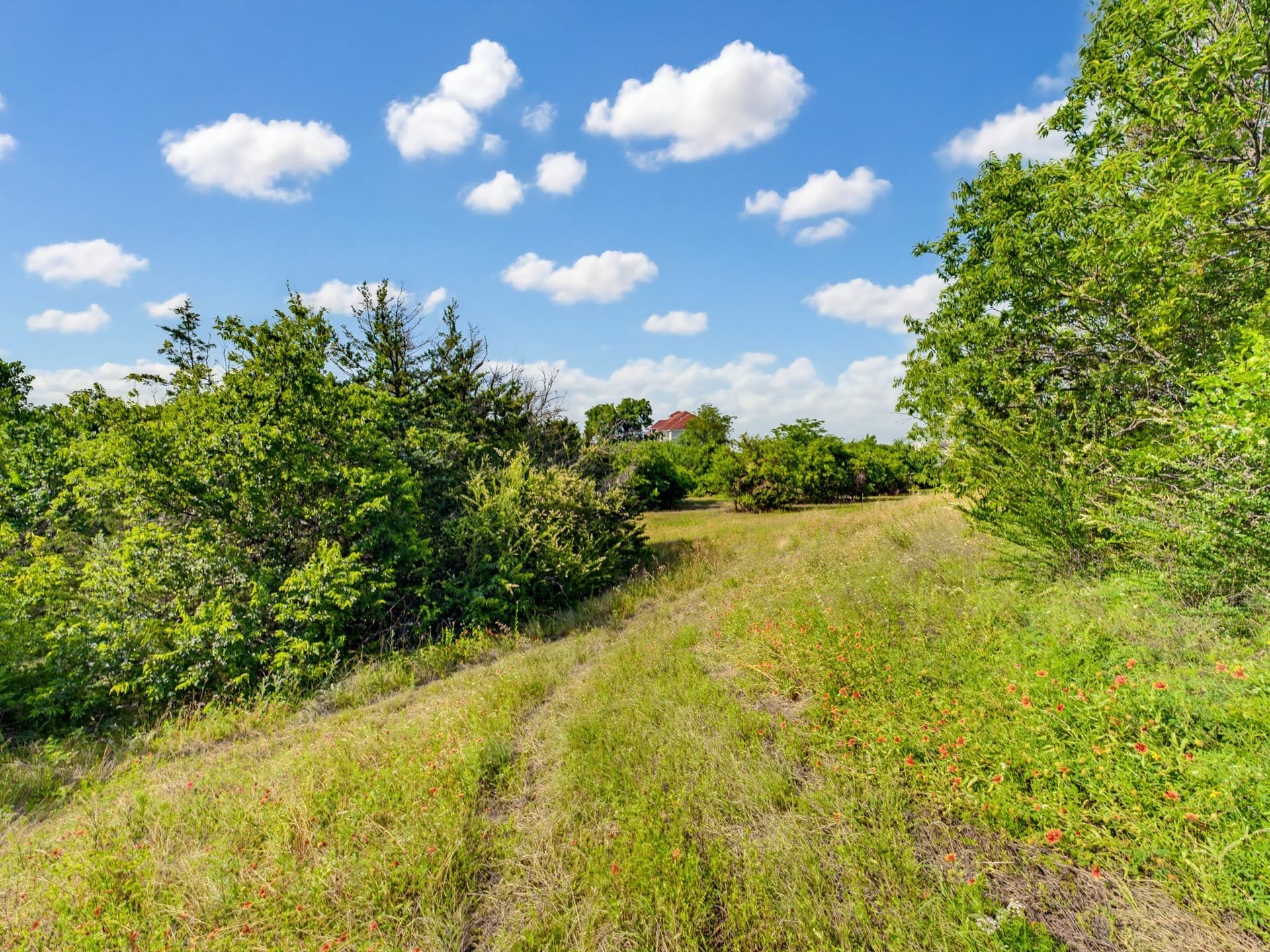 10.2 acres in Wise County - photo 38