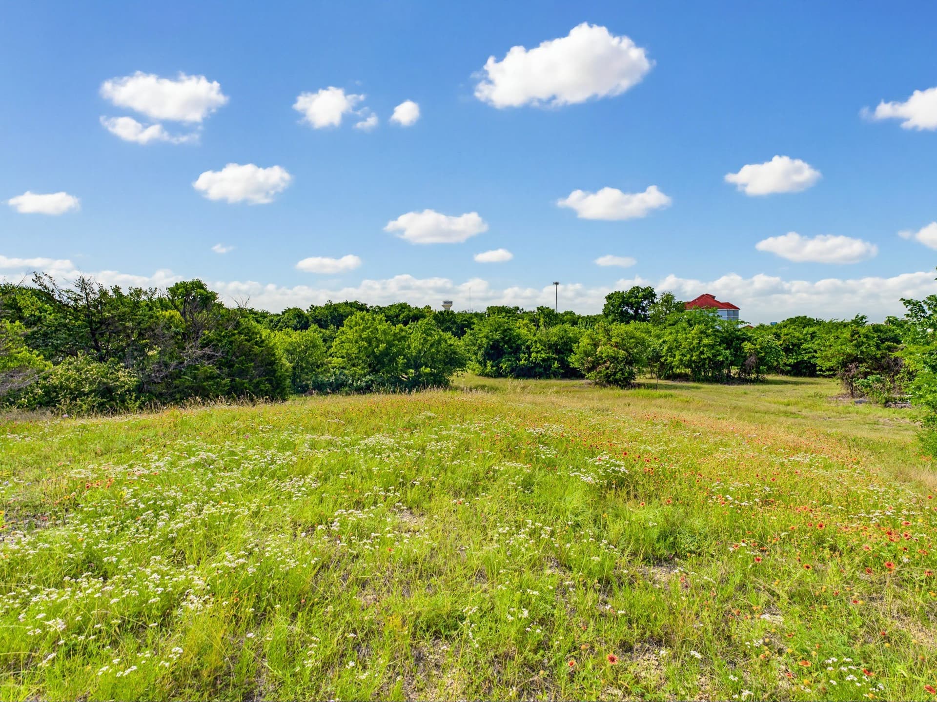 10.2 acres in Wise County - photo 36