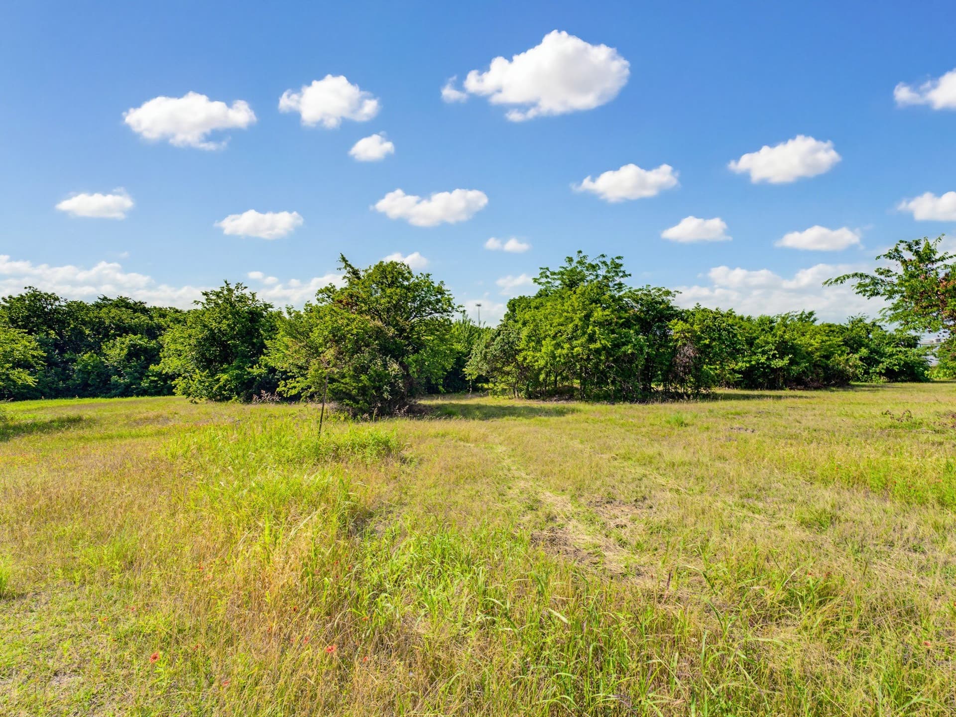 10.2 acres in Wise County - photo 24