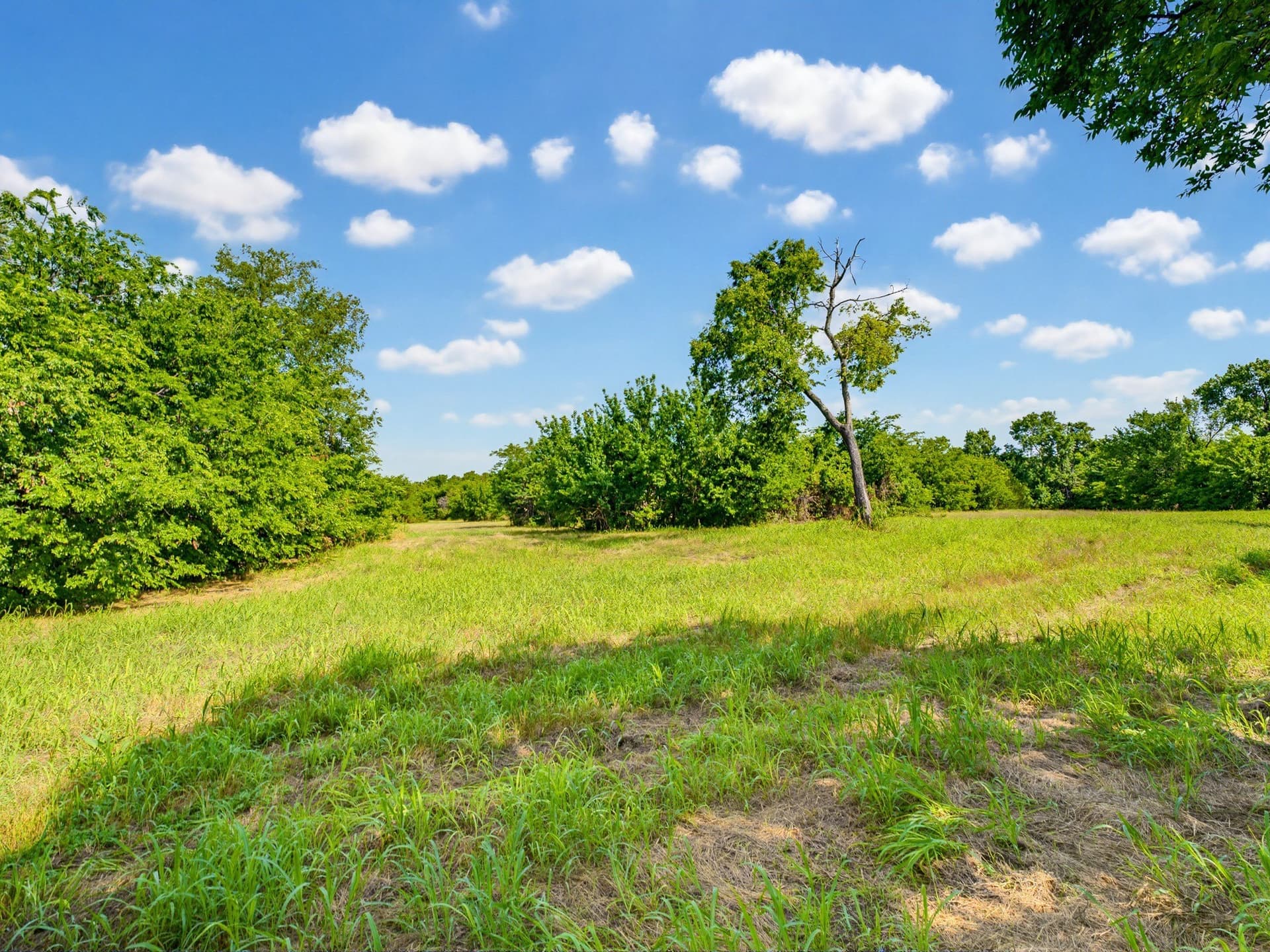 10.2 acres in Wise County - photo 29