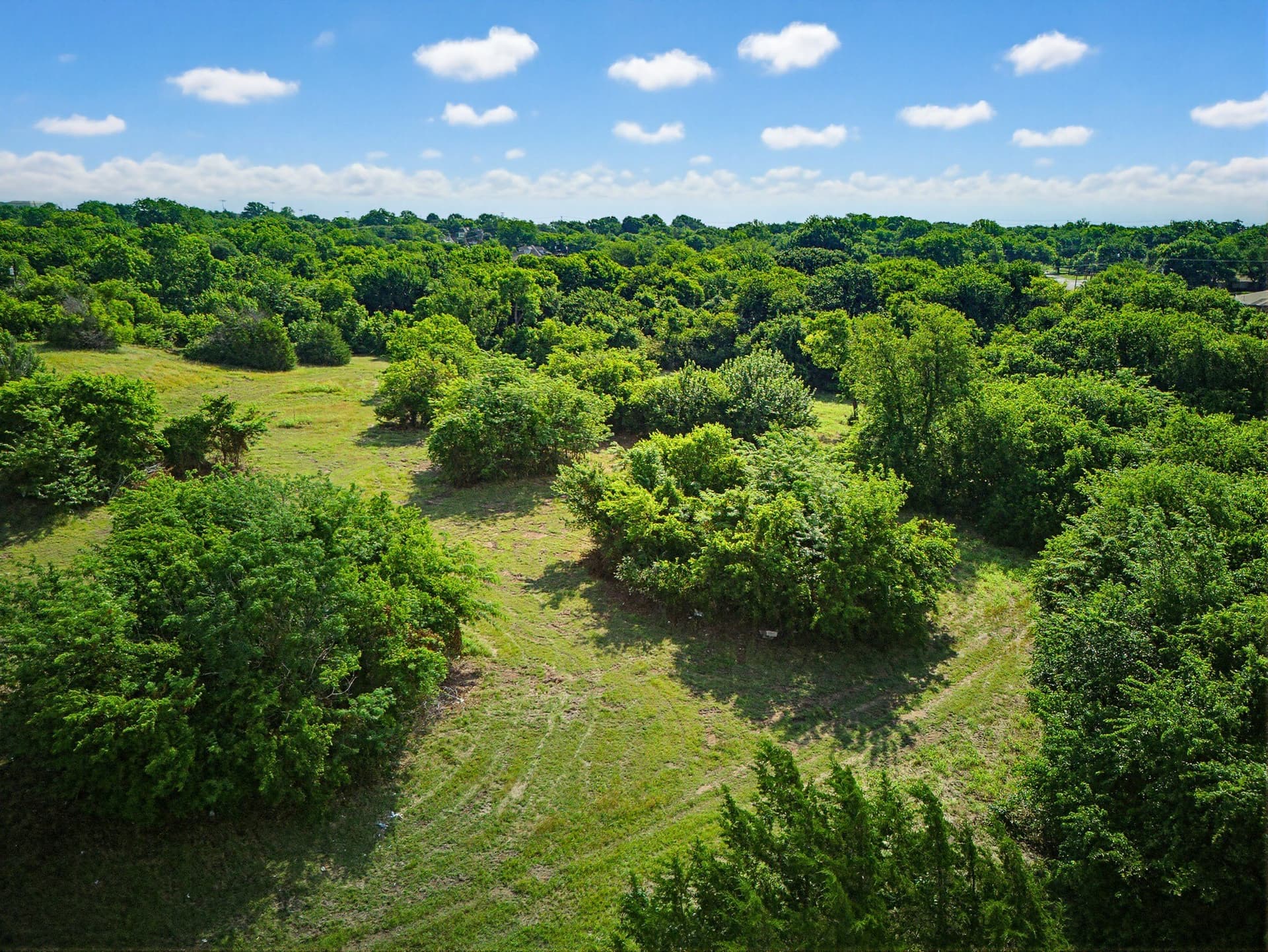10.2 acres in Wise County - photo 16