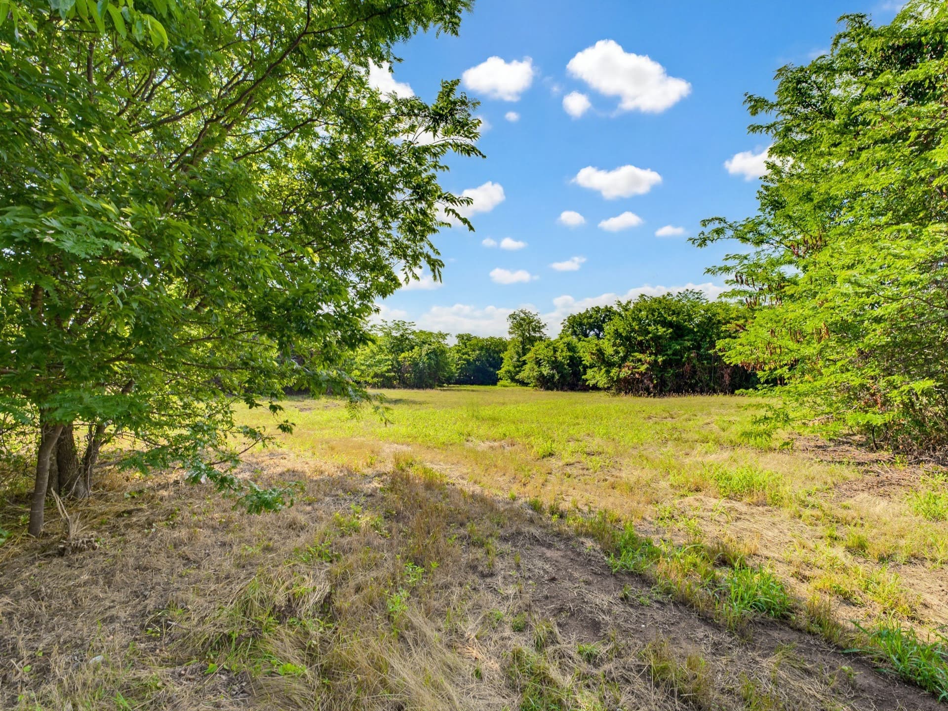 10.2 acres in Wise County - photo 19