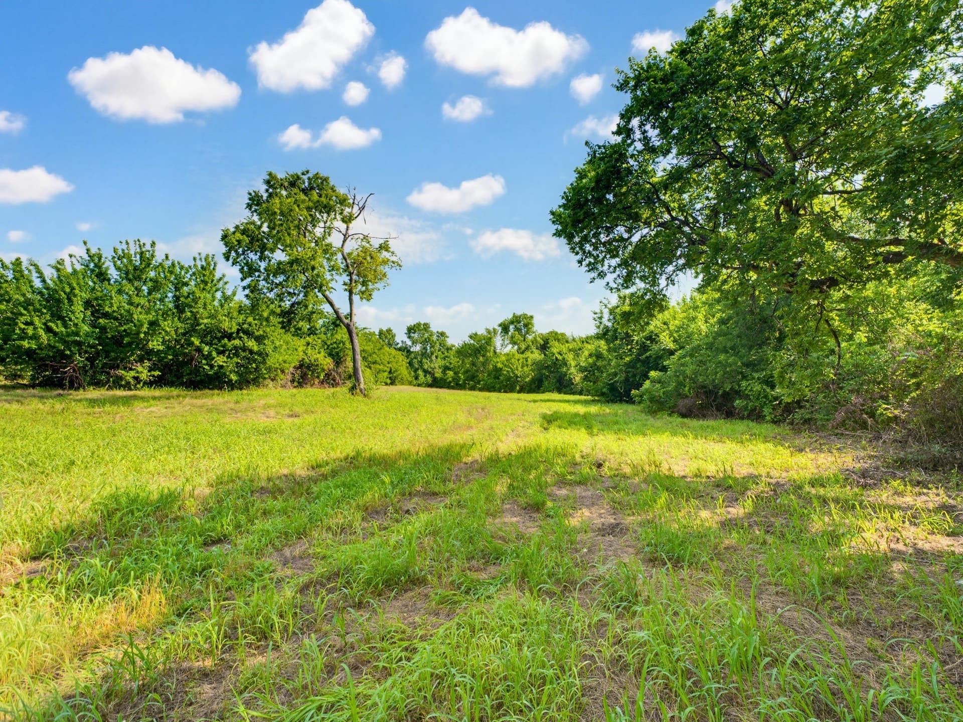 10.2 acres in Wise County - photo 28