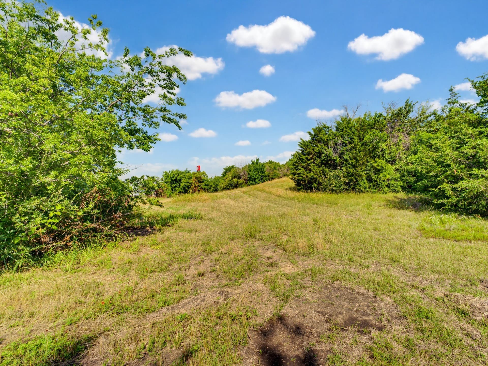 10.2 acres in Wise County - photo 26