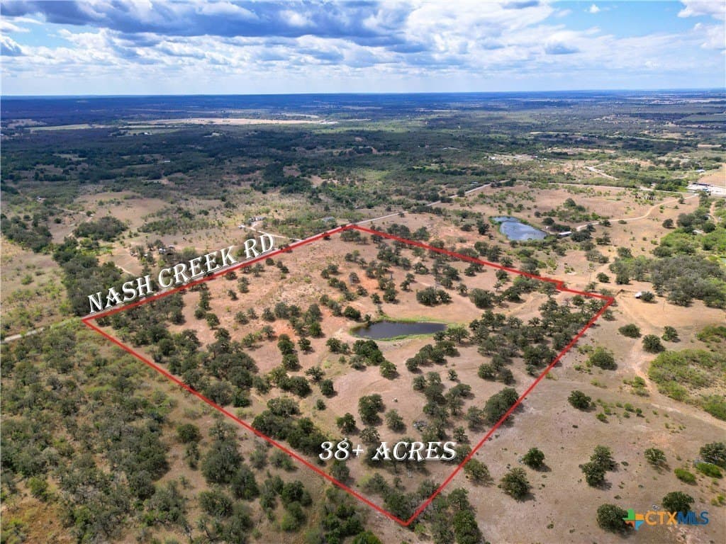 38.82 acres in Guadalupe County gallery image 2