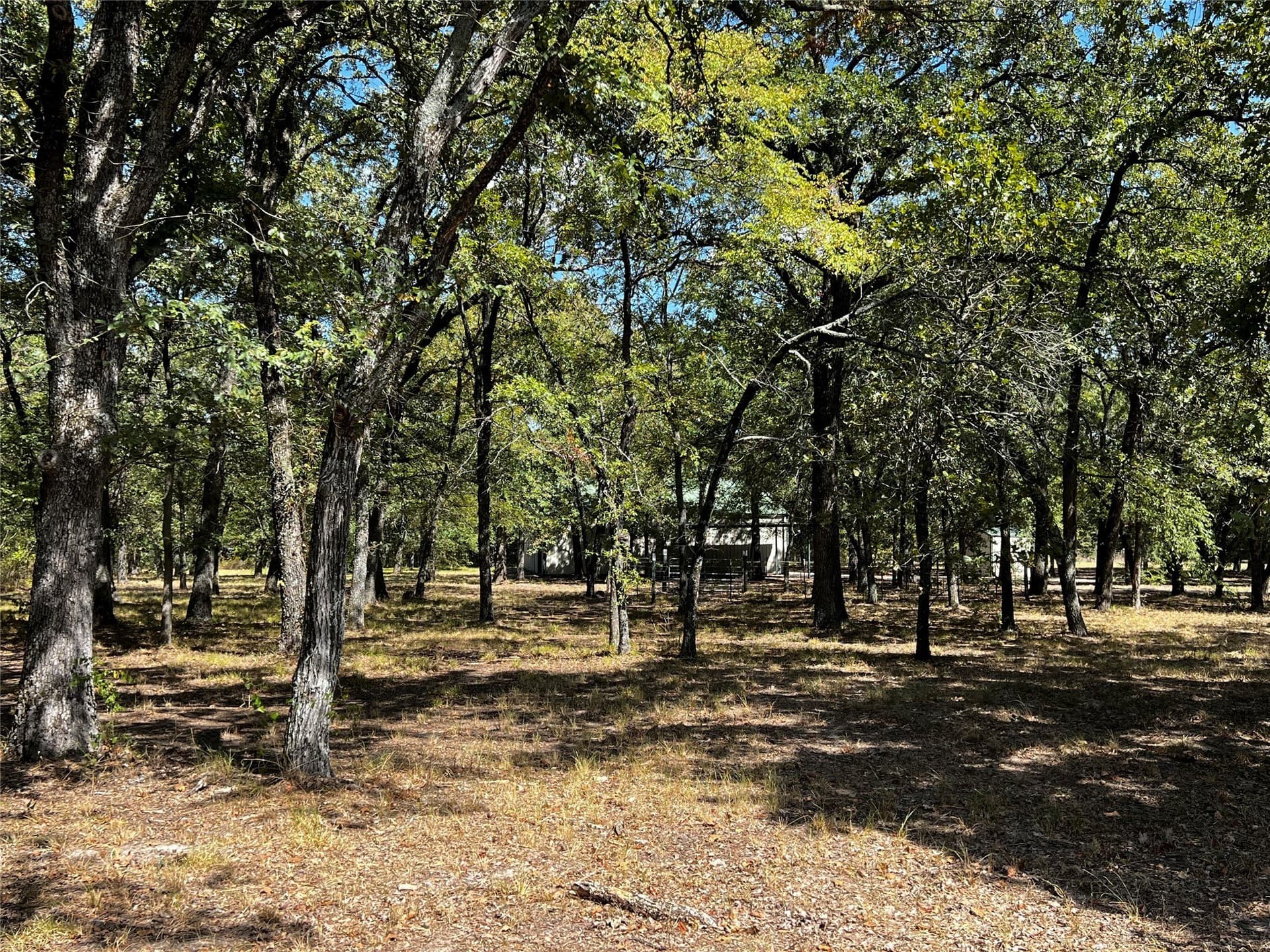 13 acres in Kaufman County - photo 30