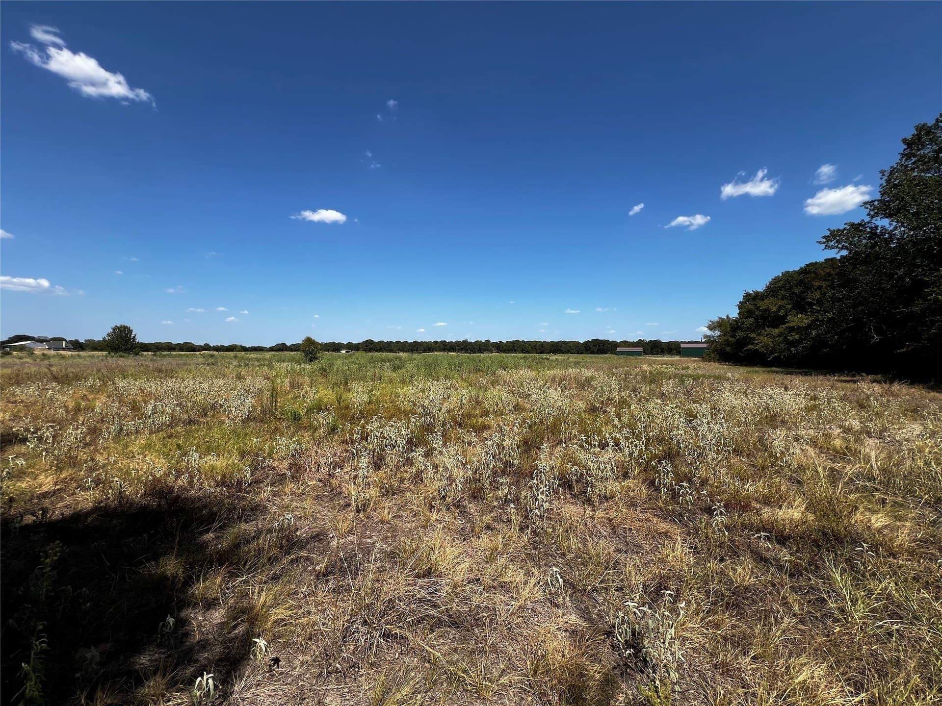 13 acres in Kaufman County - photo 37