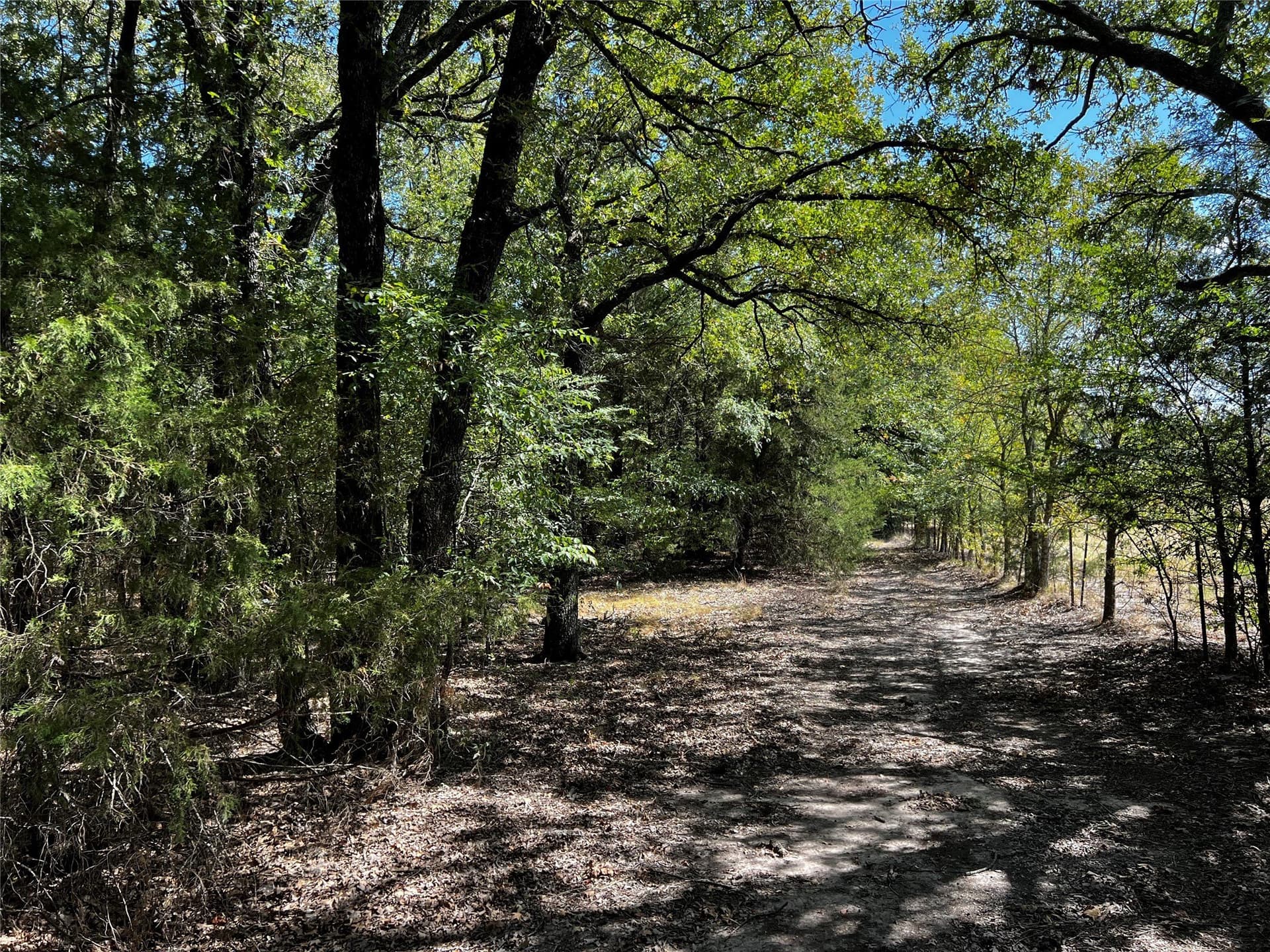 13 acres in Kaufman County - photo 39