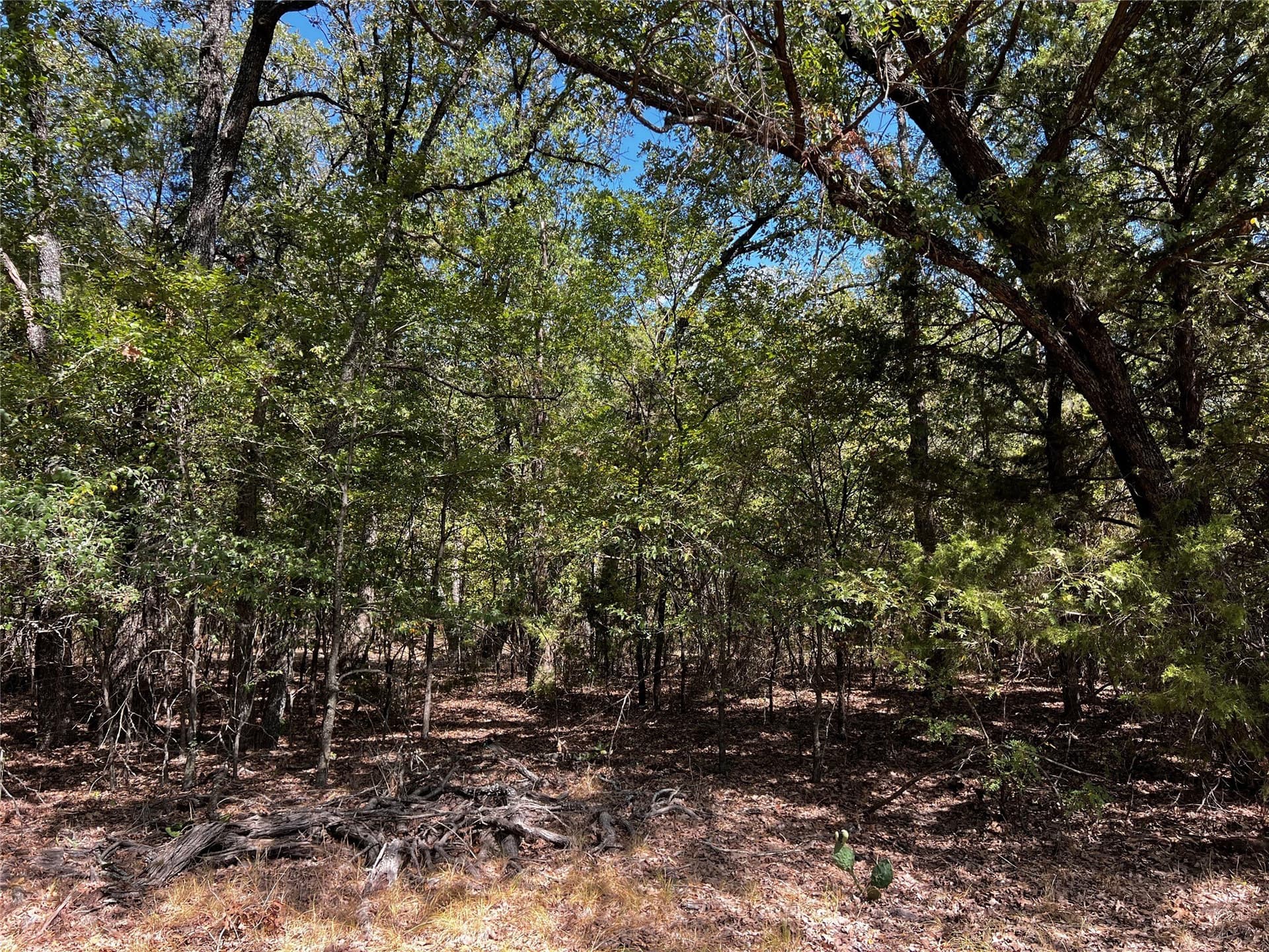 13 acres in Kaufman County - photo 33
