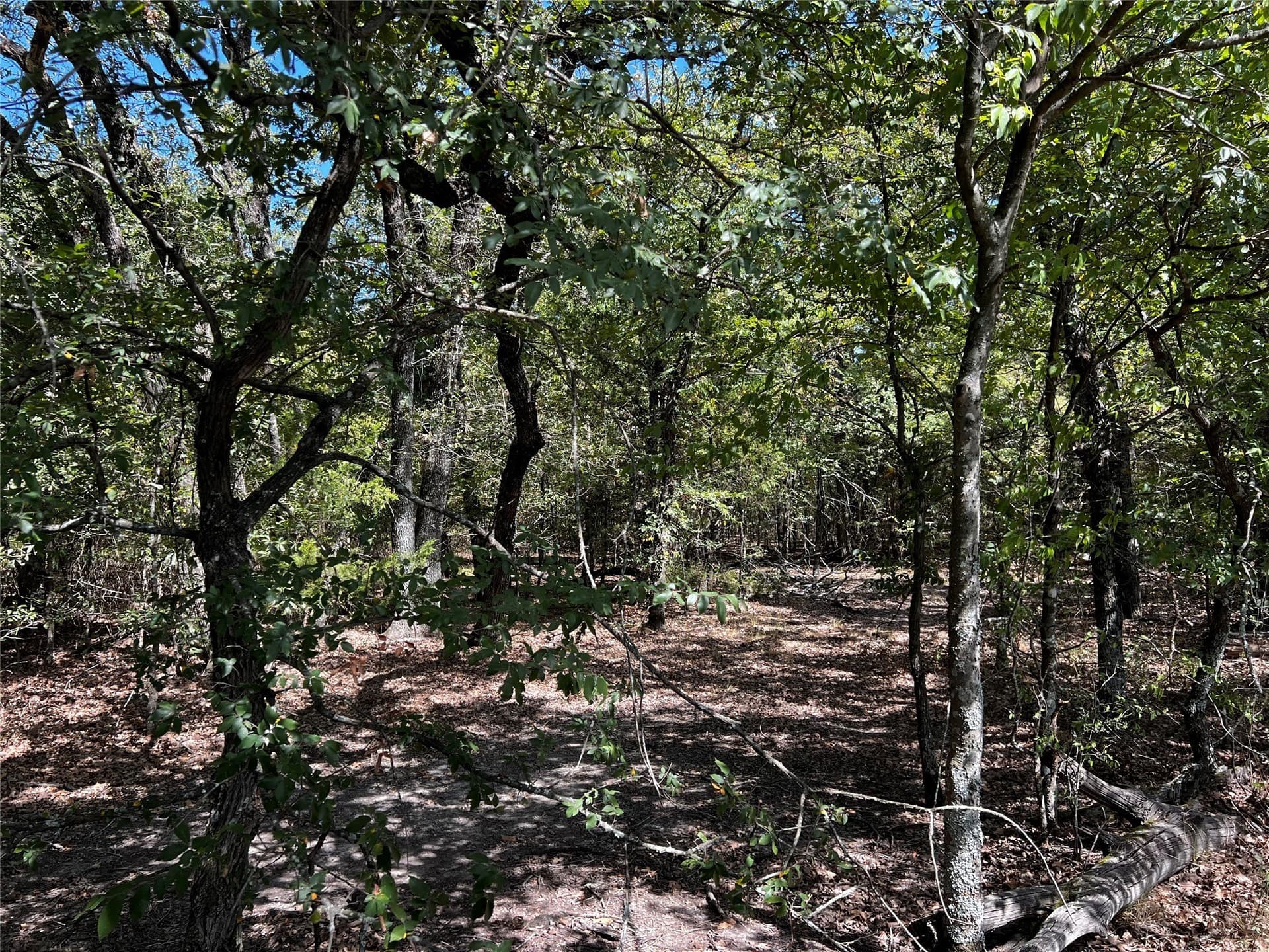 13 acres in Kaufman County - photo 34