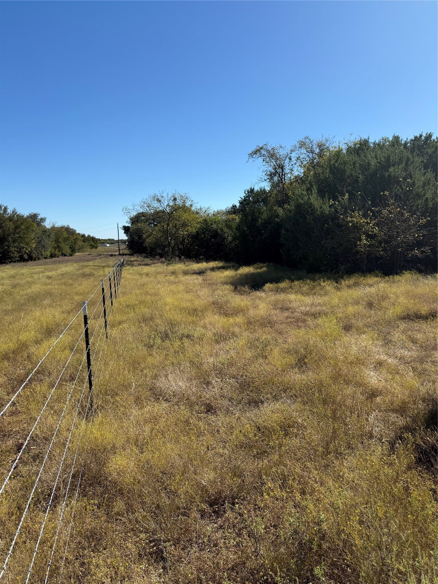 4 acres in Bosque County - photo 4