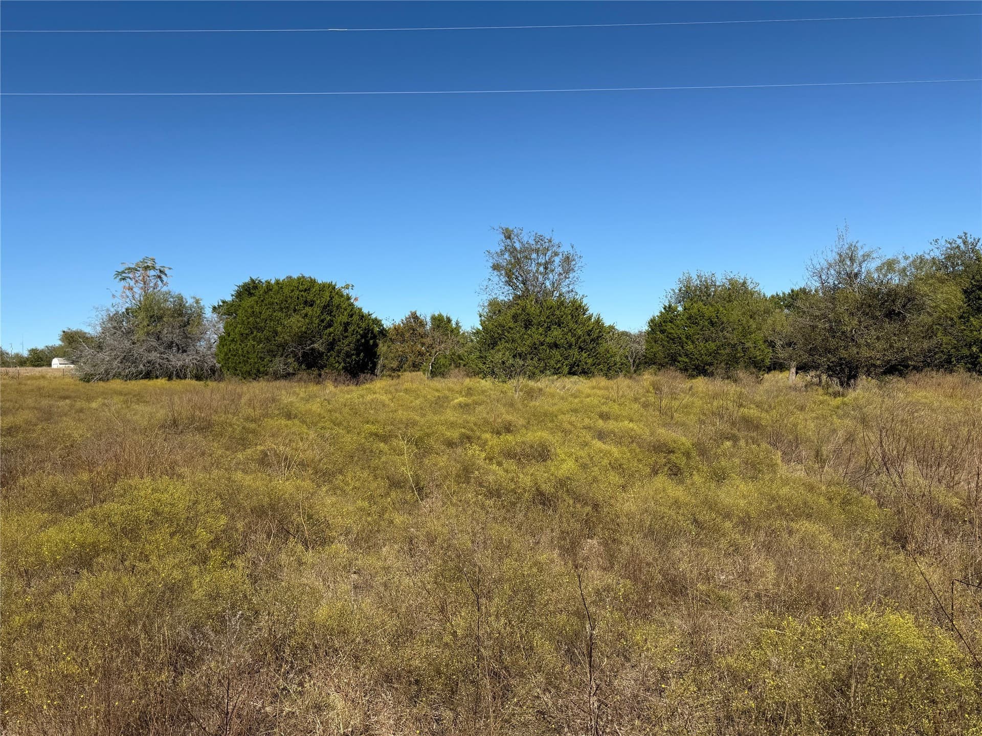 4 acres in Bosque County - photo 5