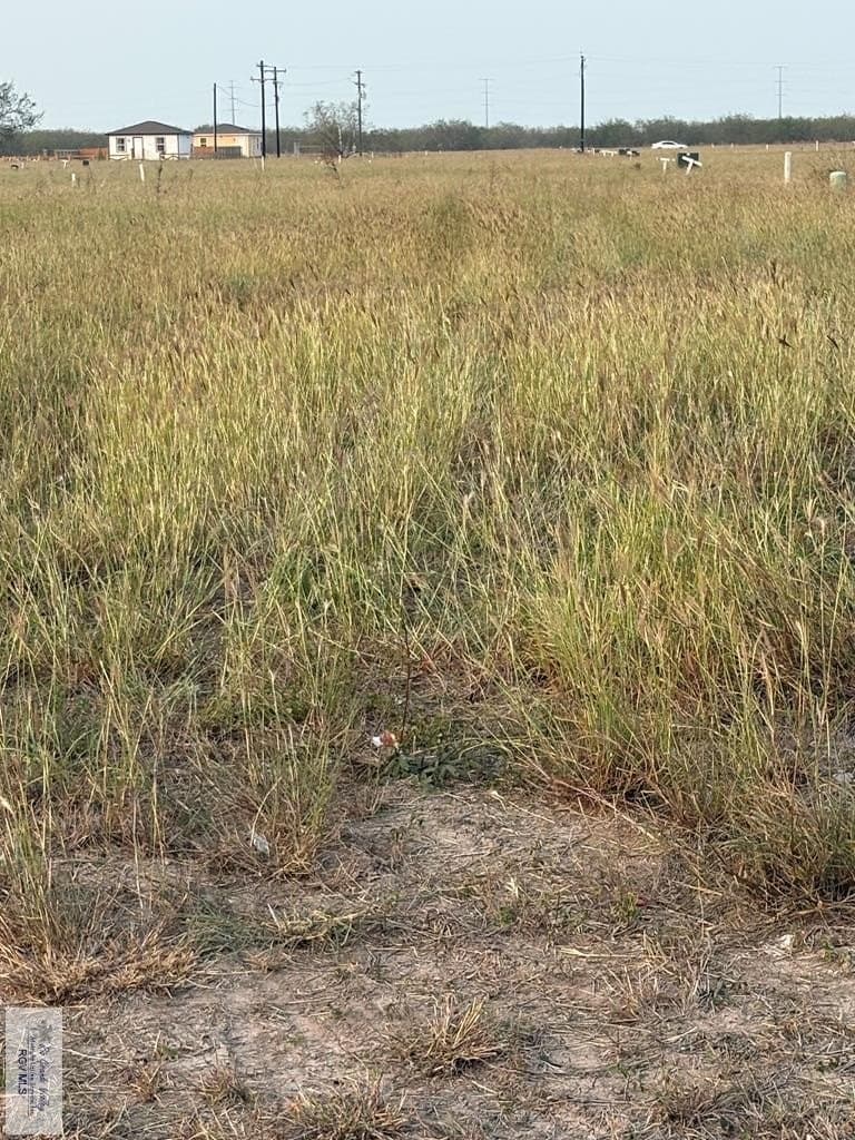 0.18 acres in CAMERON County gallery image 2