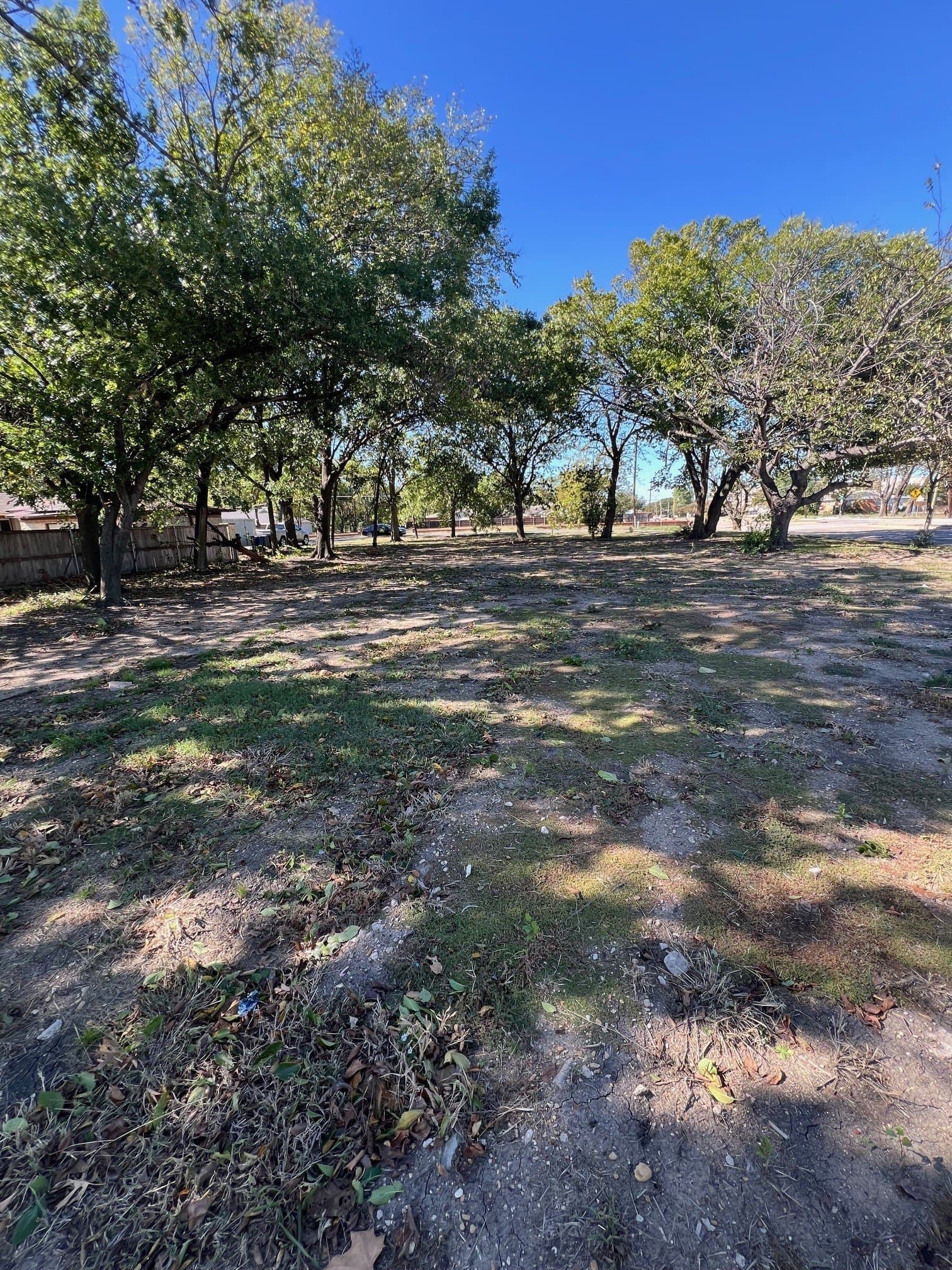 0.38 acres in Dallas County gallery image 3