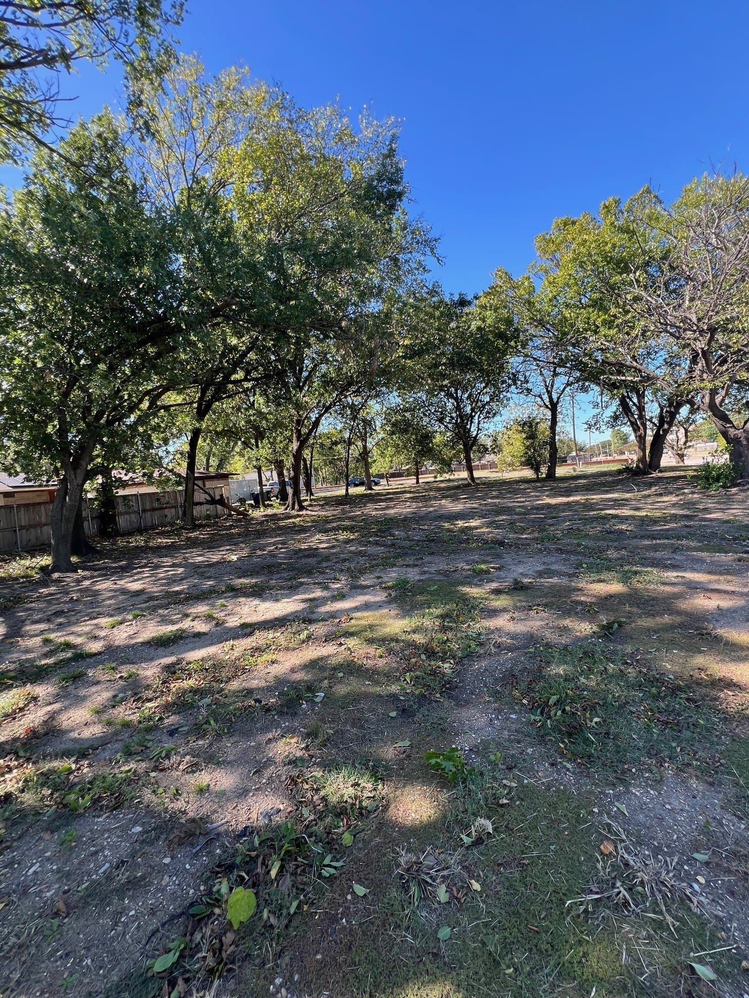 0.38 acres in Dallas County gallery image 4