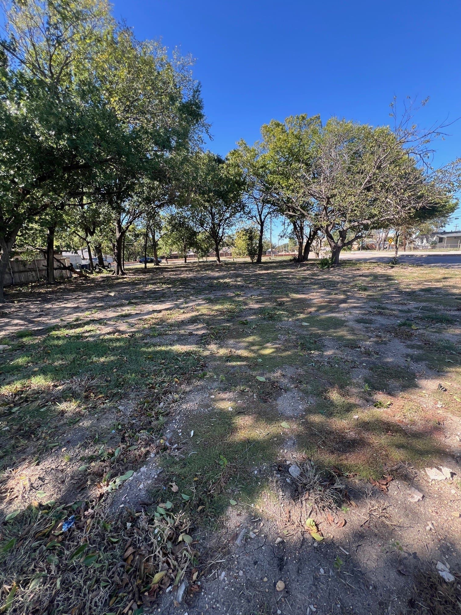 0.38 acres in Dallas County gallery image 2