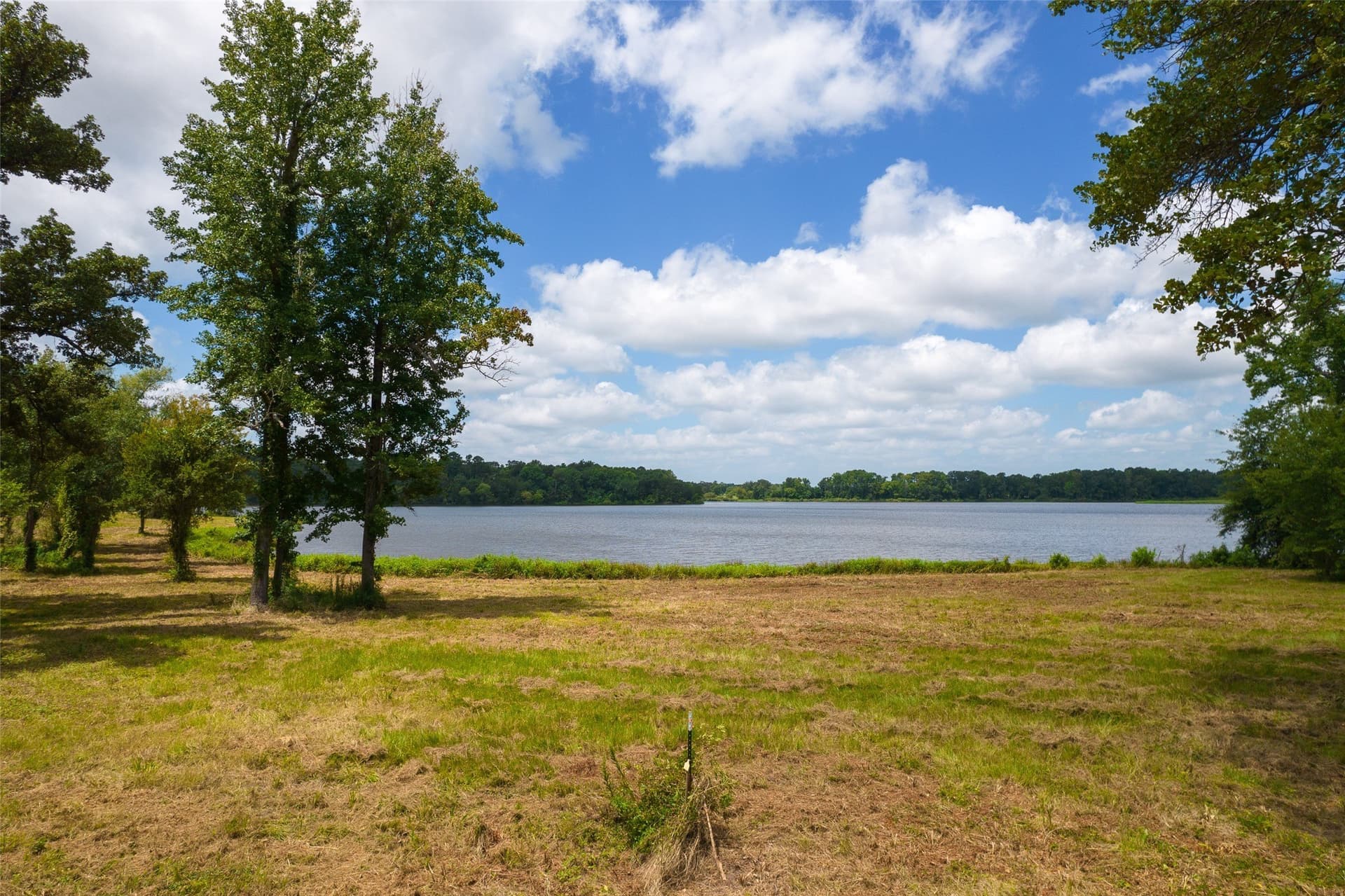 1.02 acres in Titus County - photo 8