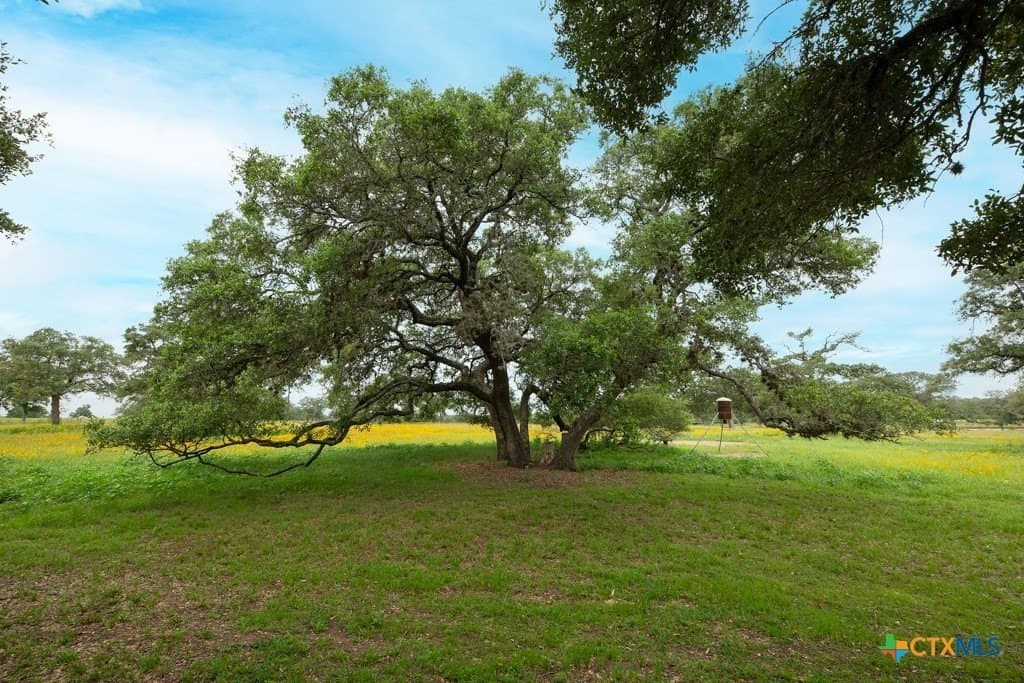 41.77 acres in Wilson County - photo 31
