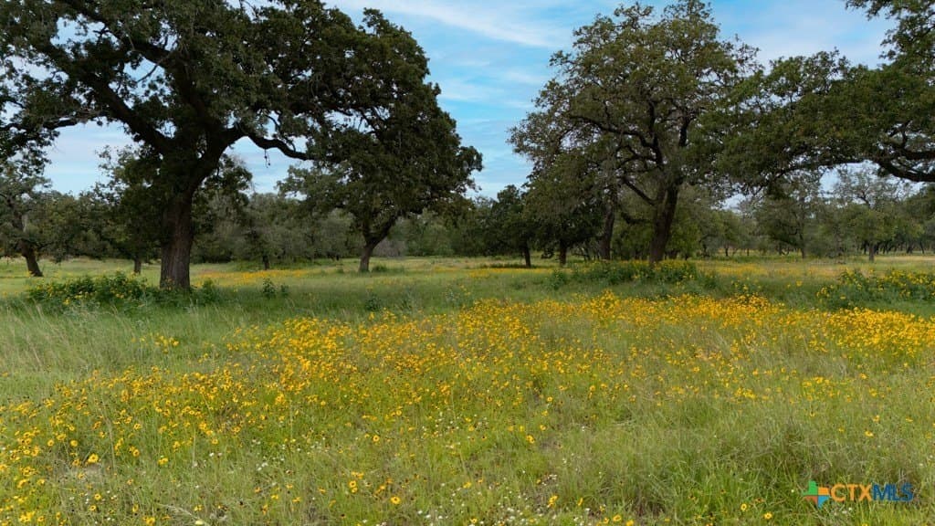 41.77 acres in Wilson County - photo 37