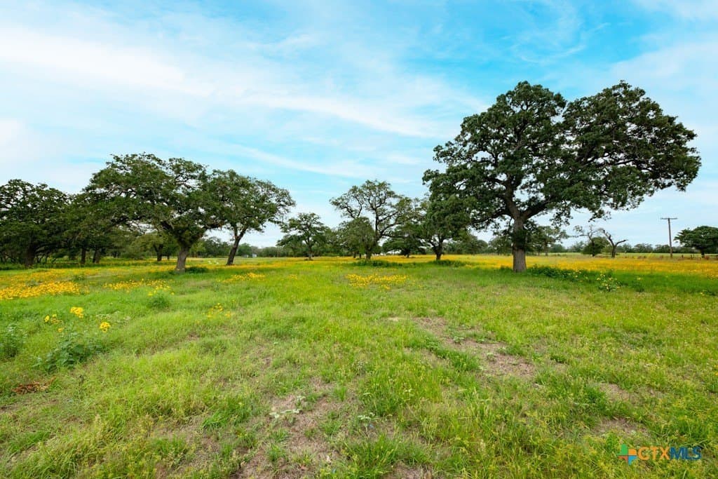 41.77 acres in Wilson County - photo 25