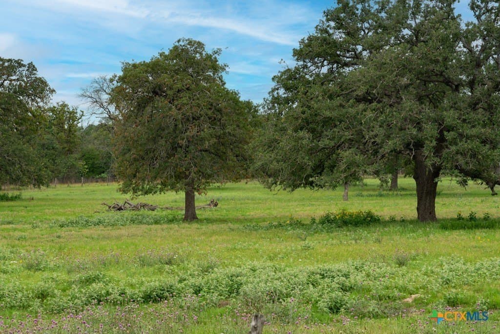41.77 acres in Wilson County - photo 5