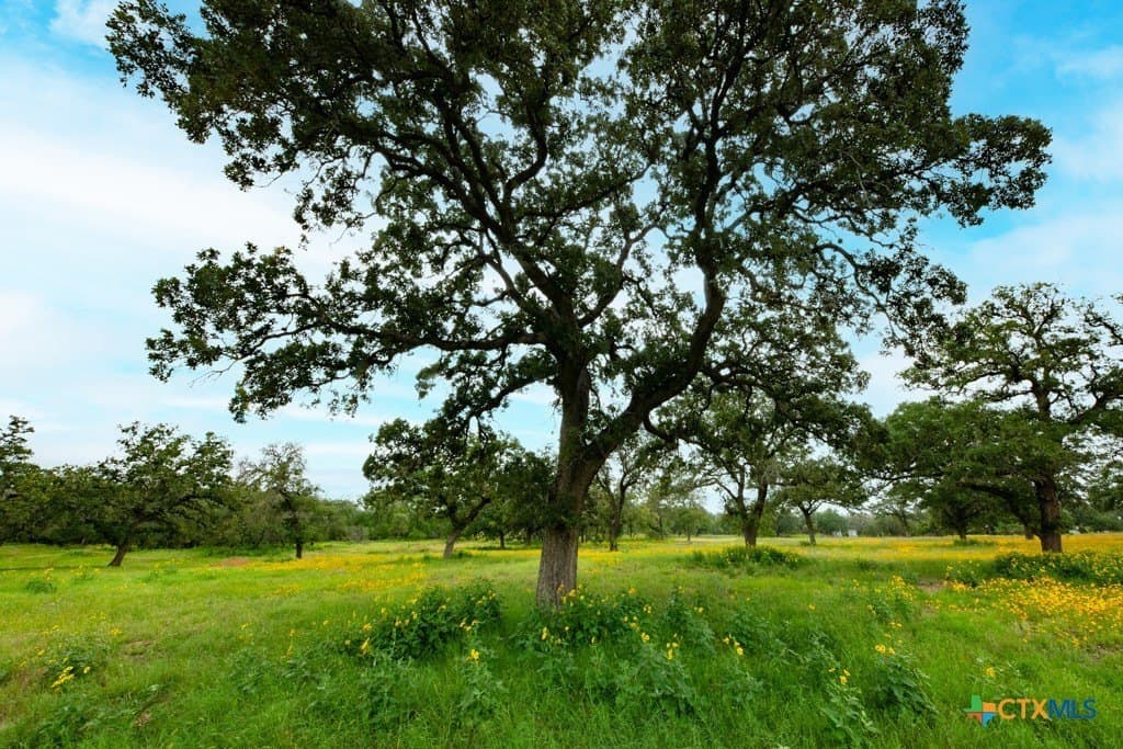 41.77 acres in Wilson County - photo 34