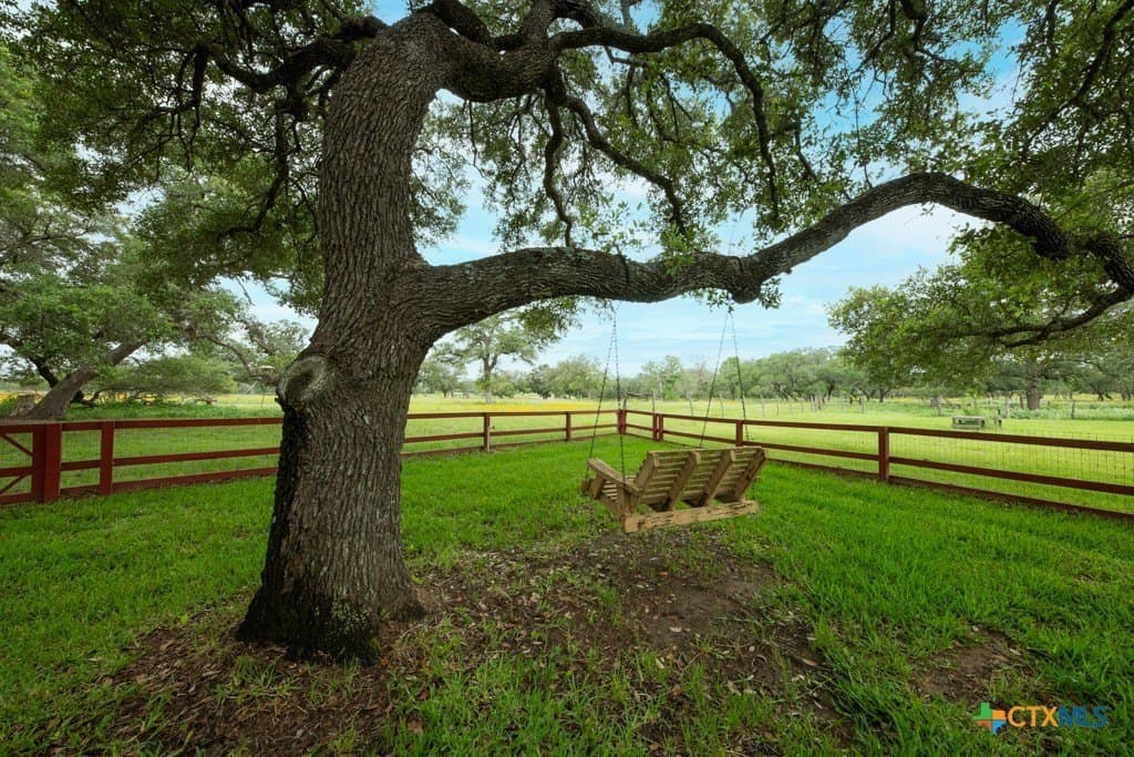 41.77 acres in Wilson County - photo 4