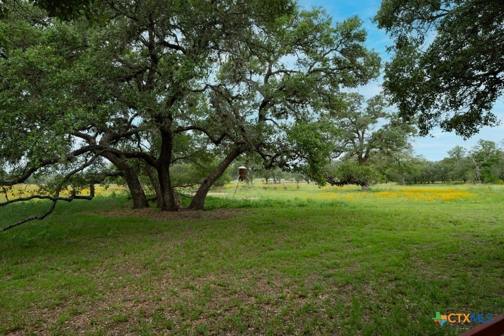 41.77 acres in Wilson County - photo 32
