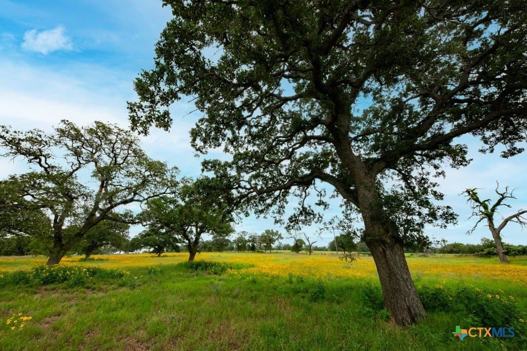 41.77 acres in Wilson County - photo 24