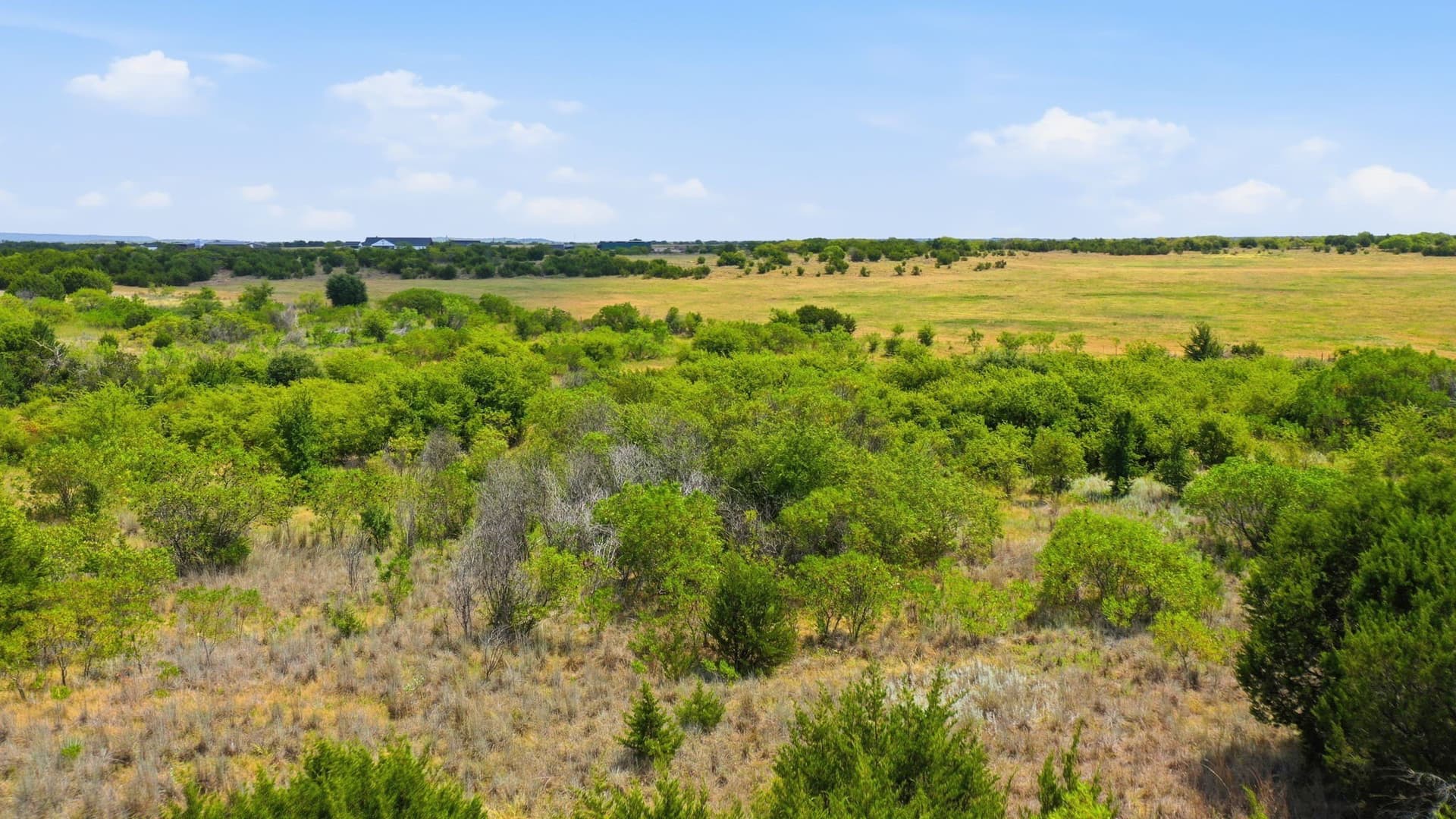 3.01 acres in Palo Pinto County - photo 11