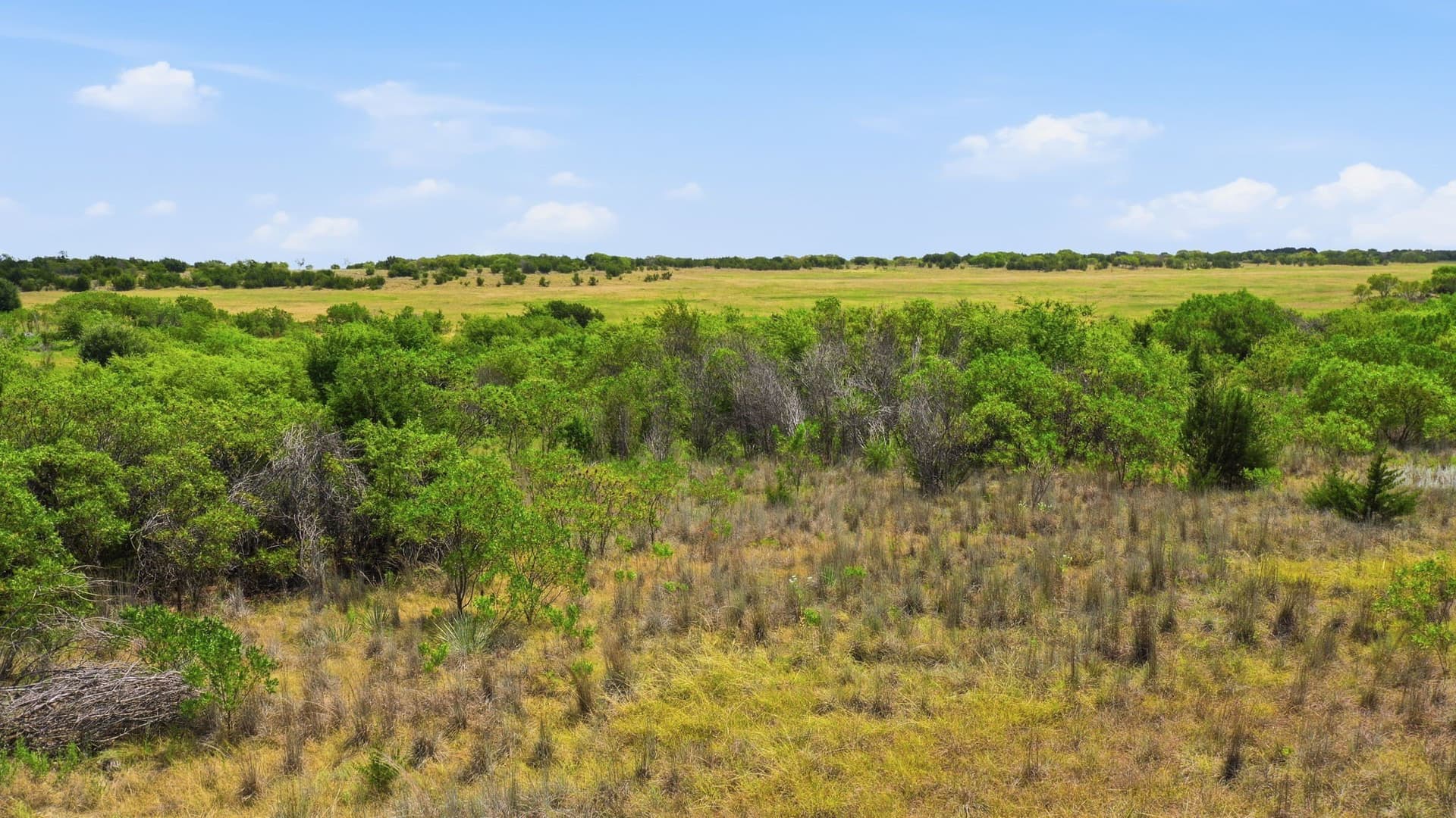 3.01 acres in Palo Pinto County - photo 12