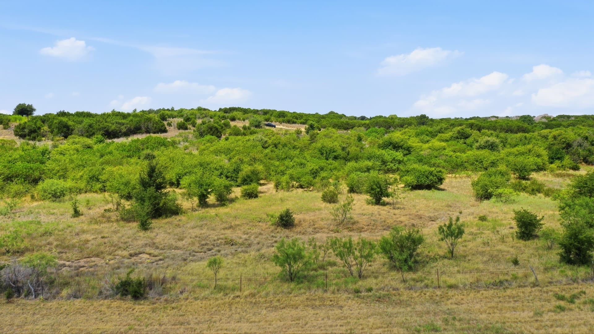 3.01 acres in Palo Pinto County - photo 9