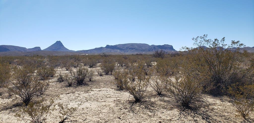 5 acres in Brewster County - photo 29