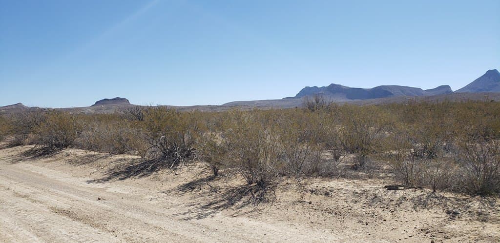 5 acres in Brewster County - photo 15