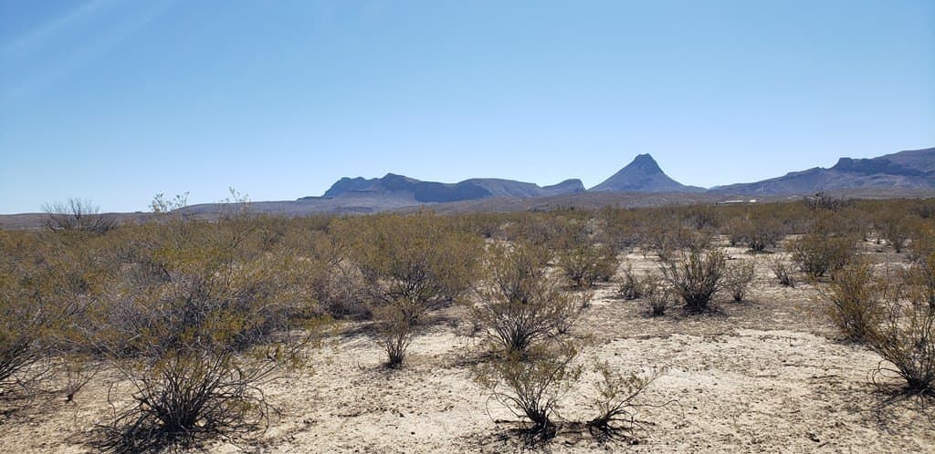 5 acres in Brewster County - photo 30