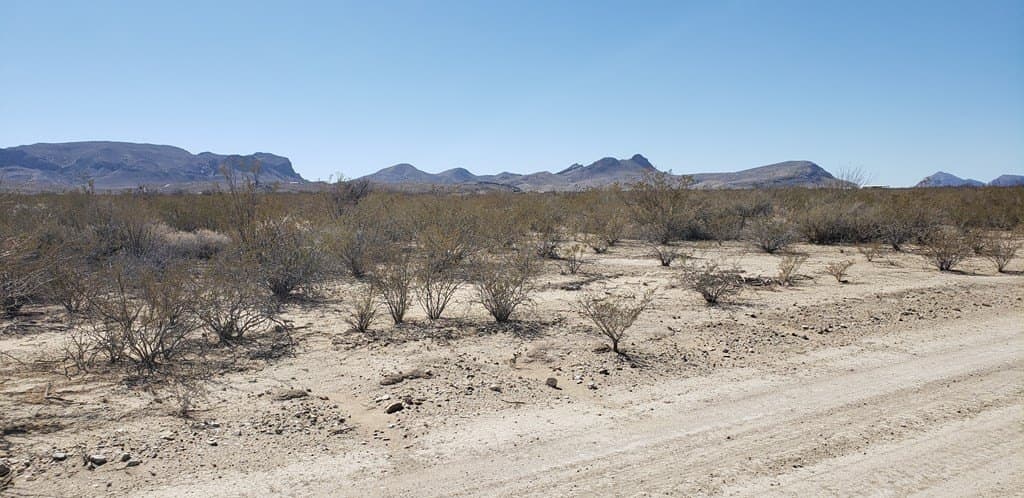 5 acres in Brewster County - photo 17