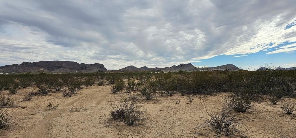 5 acres in Brewster County - photo 12
