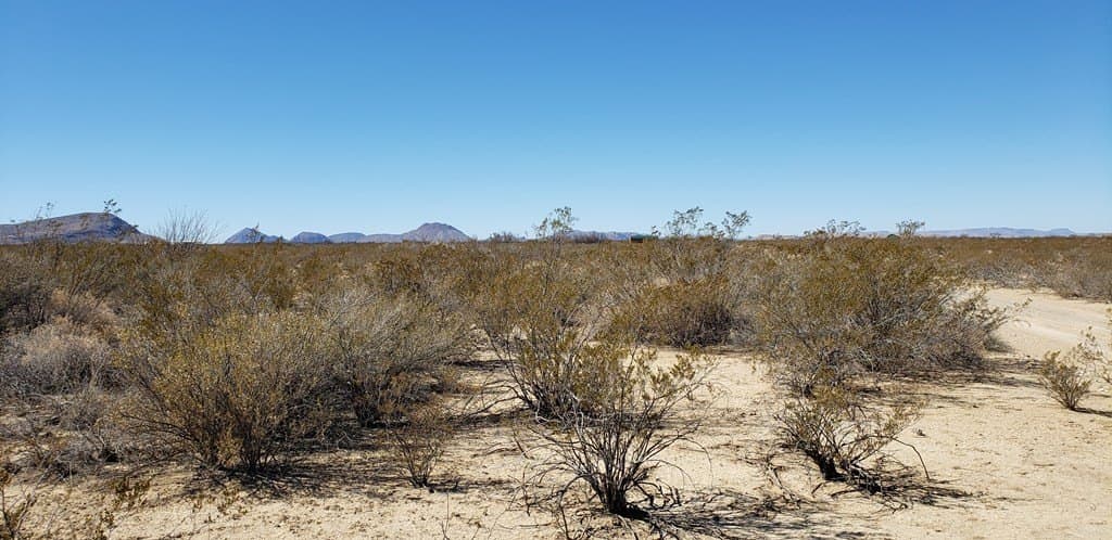 5 acres in Brewster County - photo 27