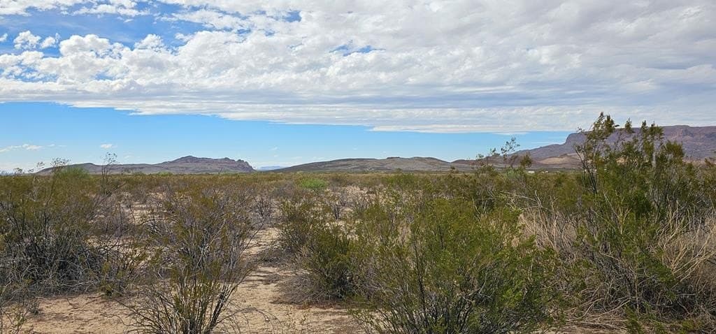 5 acres in Brewster County - photo 8
