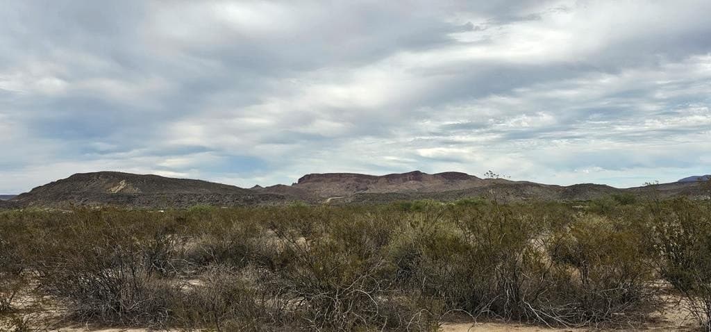 5 acres in Brewster County - photo 13