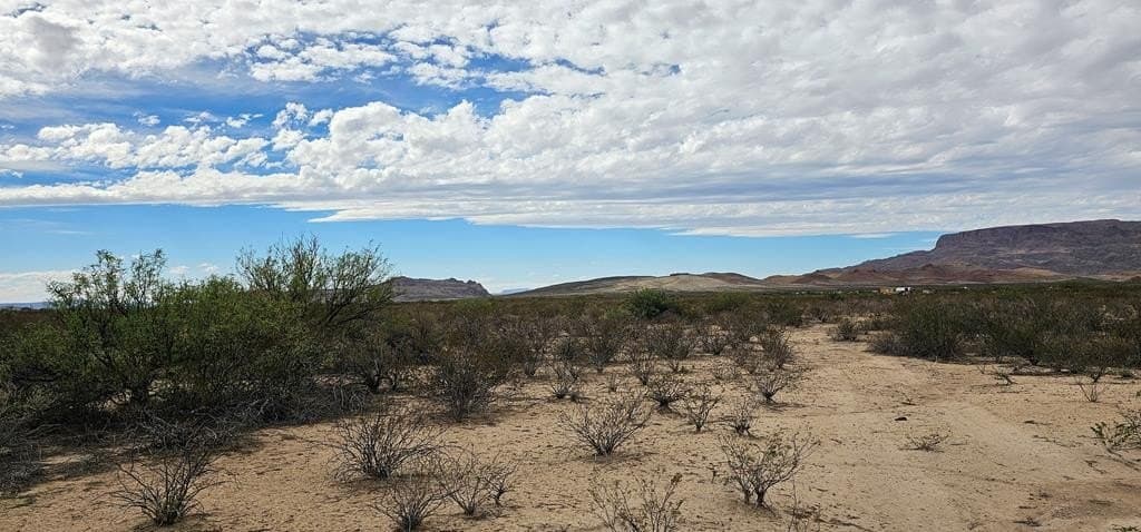 5 acres in Brewster County gallery image 4