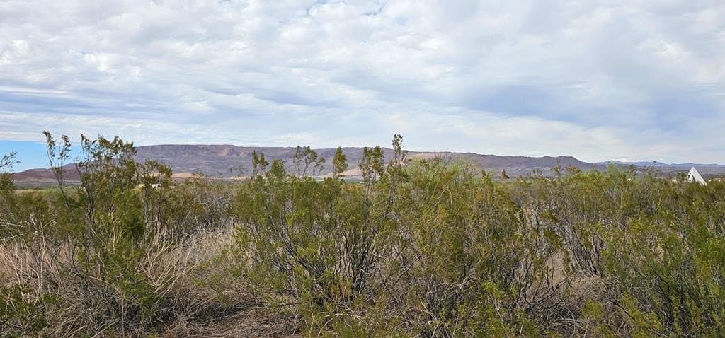 5 acres in Brewster County - photo 10