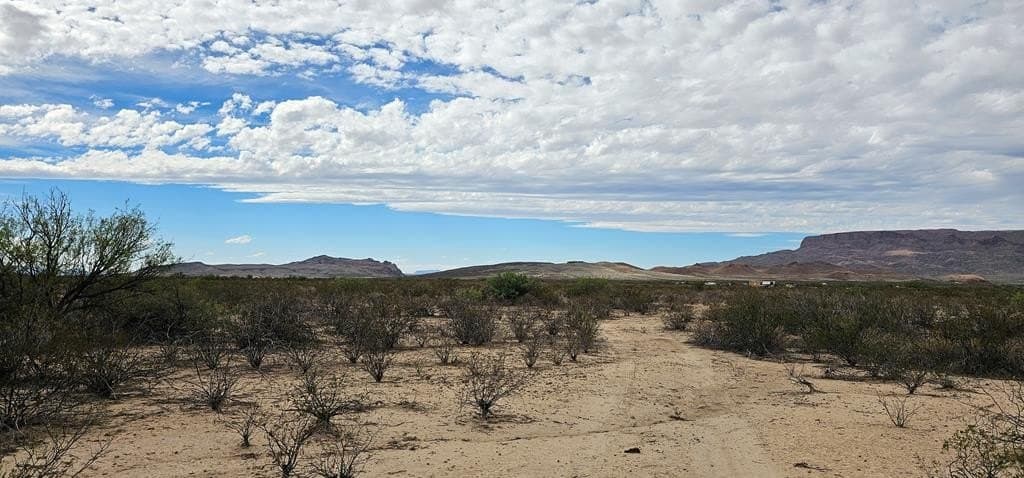 5 acres in Brewster County gallery image 3