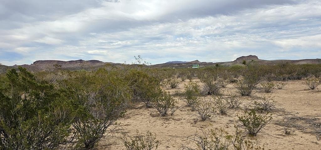 5 acres in Brewster County - photo 32