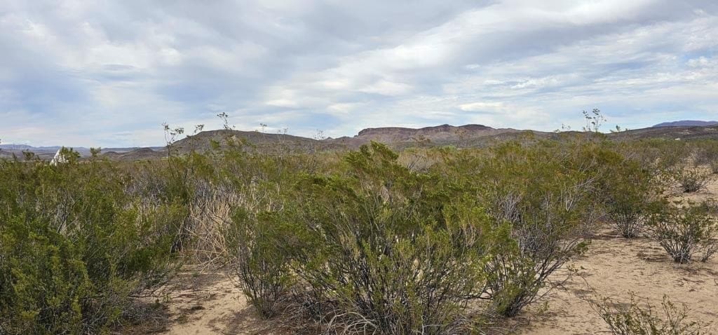 5 acres in Brewster County - photo 33