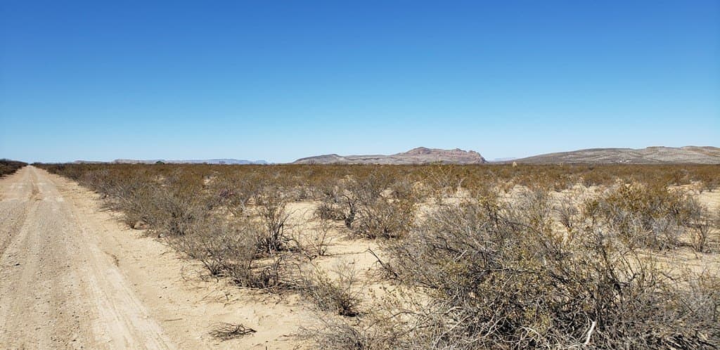 5 acres in Brewster County - photo 25